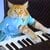 keyboard-cat